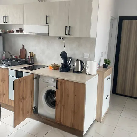 Svetlana Apartment *